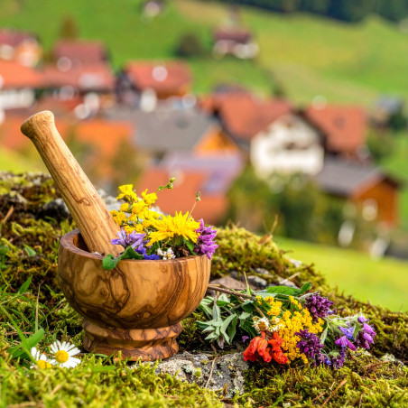 Allgäu Kräuter