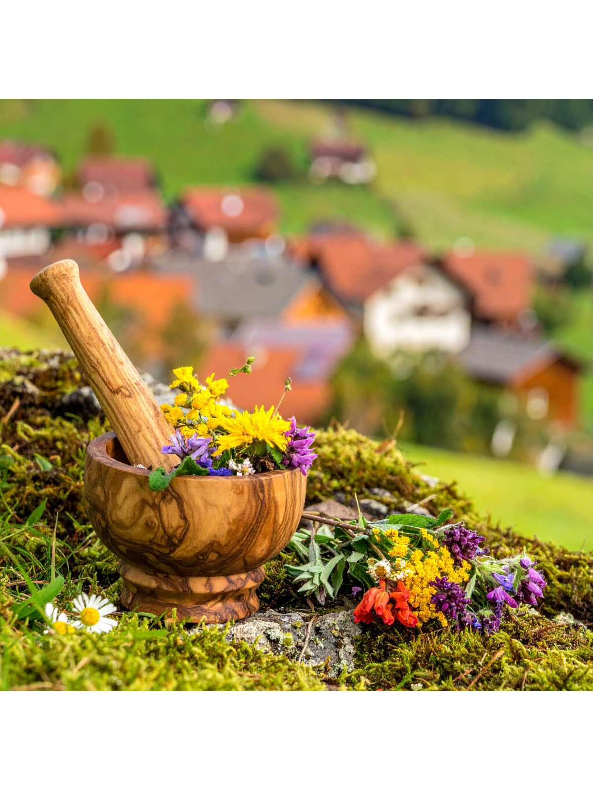 Allgäu Kräuter Allgäu Kräuter