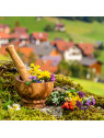 Allgäu Kräuter Allgäu Kräuter