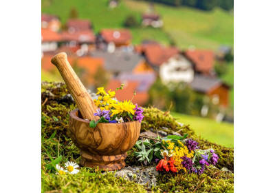 Allgäuer Kräuterkerzen - Natürliche Wohlfühlmomente aus den Alpen Allgäuer Kräuterkerzen - Natürliche Wohlfühlmomente aus den Alpen