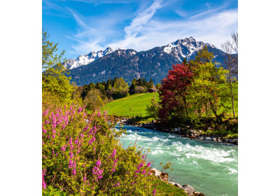 Kunst und Handwerk im Allgäu - Lebendiges Kulturerbe zwischen Tradition und Moderne Kunst und Handwerk im Allgäu - Lebendiges Kulturerbe zwischen Tradition und Moderne
